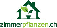 Zimmerpflanzen Imhof AG