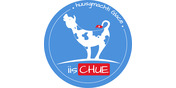 Logo Swiss Ice Cream Manufaktur GmbH