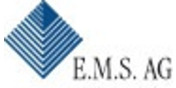 Logo Engineering Management Selection E.M.S. AG